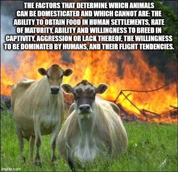 Cool and Interesting Facts #418 (26 photos)