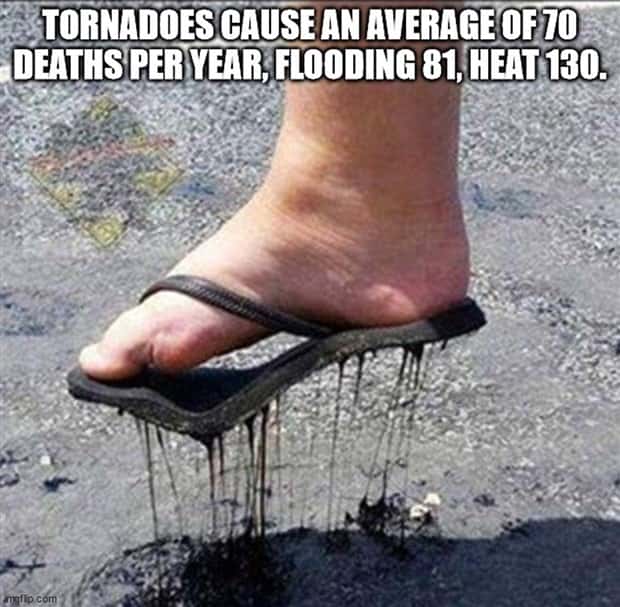 Cool and Interesting Facts #418 (26 photos)