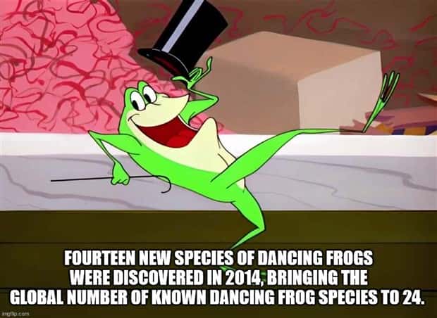 Cool and Interesting Facts #418 (26 photos)