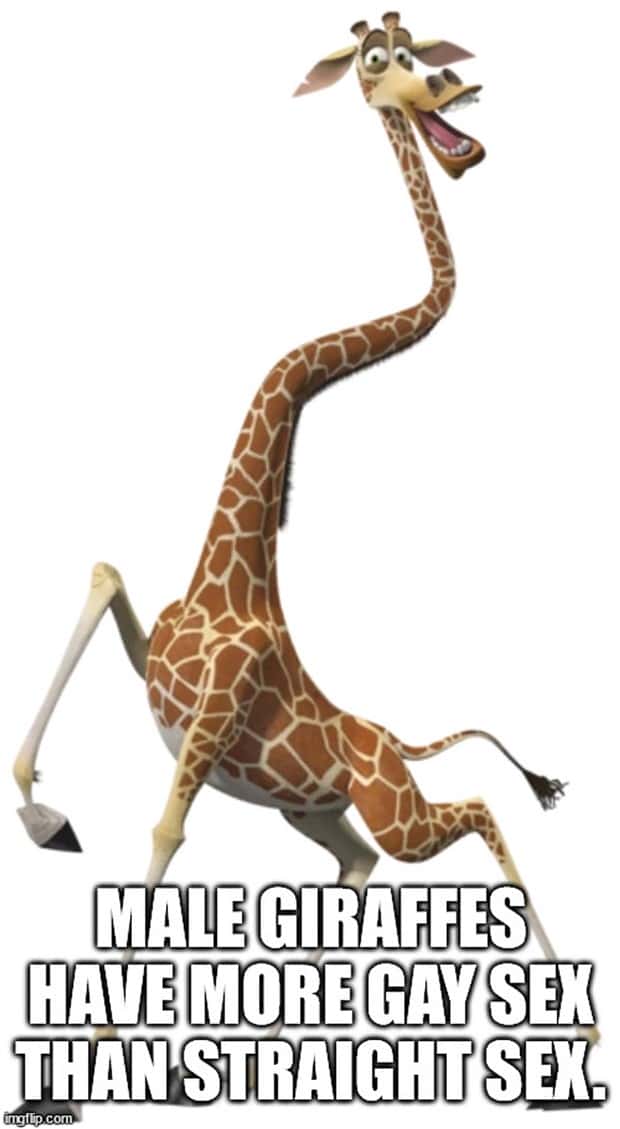 Cool and Interesting Facts #418 (26 photos)