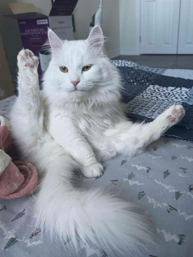 Klyker Picdump #1657 (42 photos)