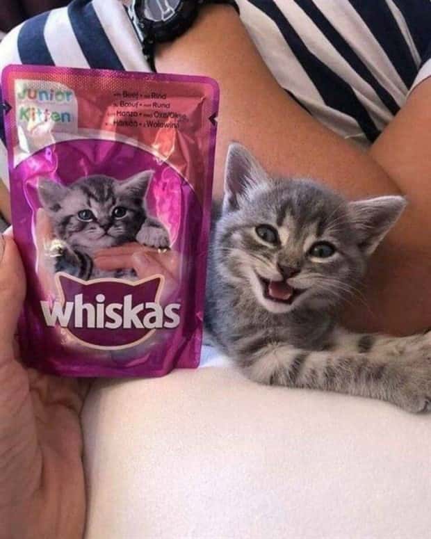 Klyker Picdump #1669 (44 photos)