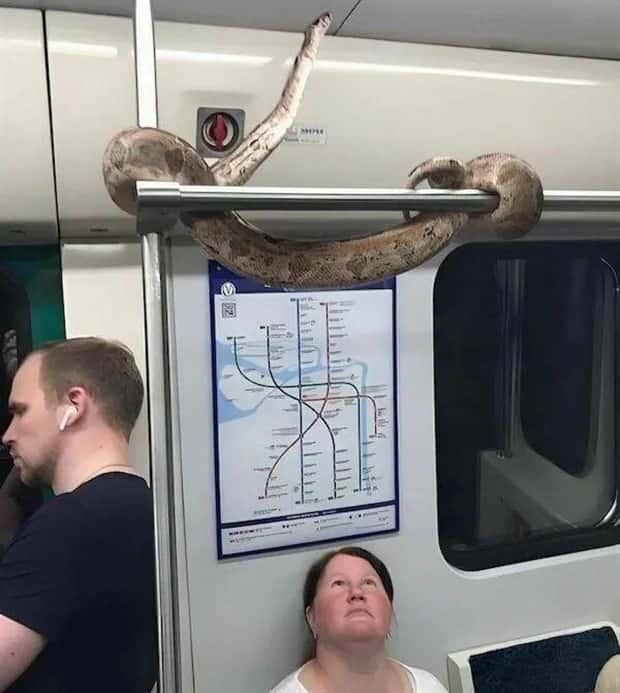 Klyker Picdump #1669 (44 photos)