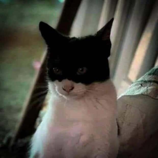 Klyker Picdump #1669 (44 photos)