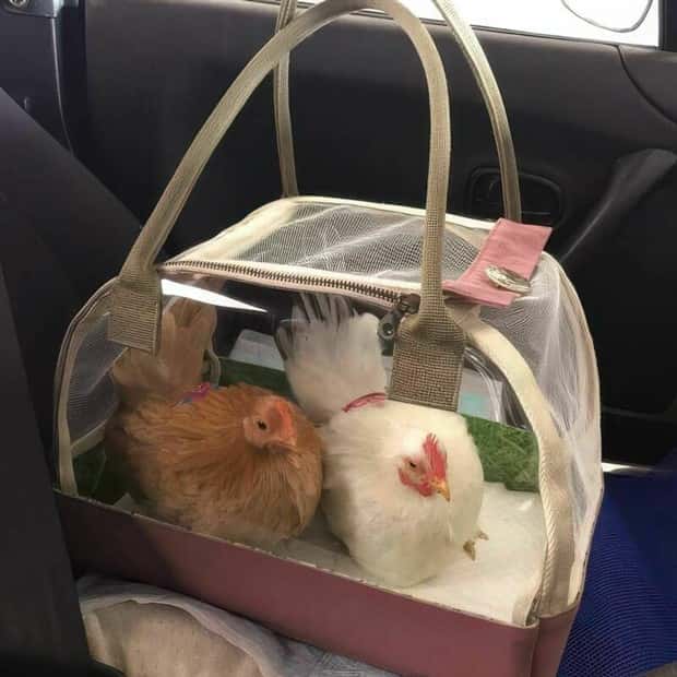 Klyker Picdump #1669 (44 photos)