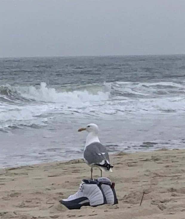 Klyker Picdump #1669 (44 photos)