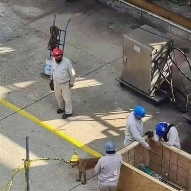 Klyker Picdump #1669 (44 photos)