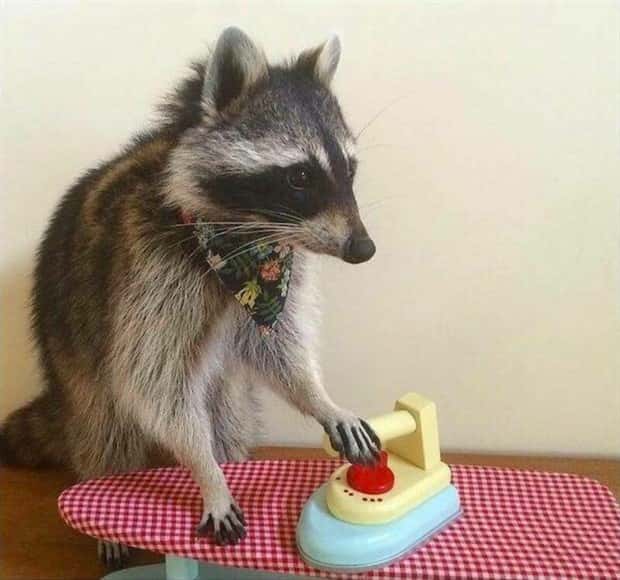 klyker picdump 2 3 2025 26 Klyker Picdump #1651 (41 photos)