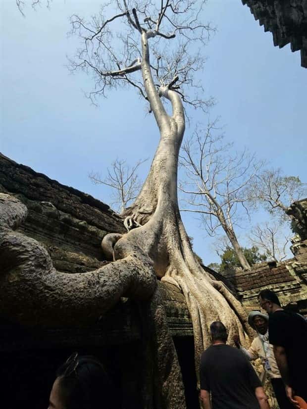 klyker picdump 2 3 2025 32 Klyker Picdump #1651 (41 photos)