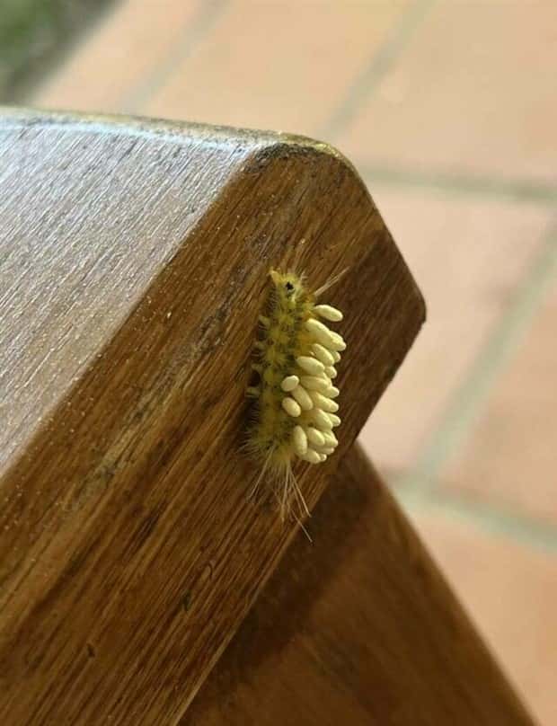 klyker picdump 2 3 2025 38 Klyker Picdump #1651 (41 photos)