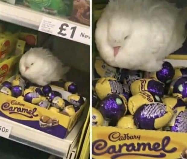 klyker picdump 2 4 2025 22 Klyker Picdump #1652 (42 photos)