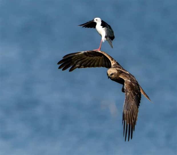 Klyker Picdump #1654 (44 photos)