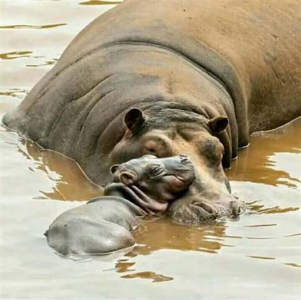 Klyker Picdump #1654 (44 photos)