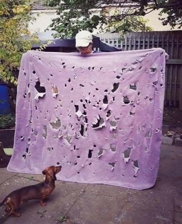 Klyker Picdump #1654 (44 photos)