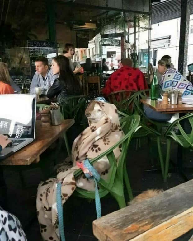 Klyker Picdump #1654 (44 photos)