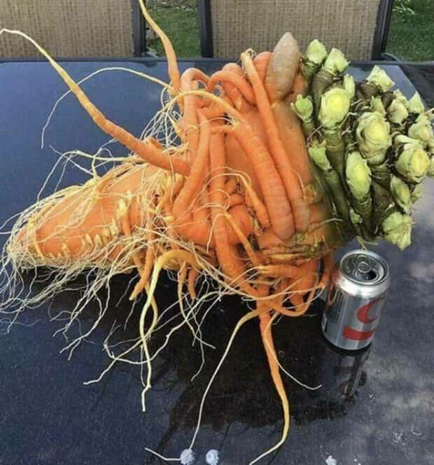 Klyker Picdump #1654 (44 photos)