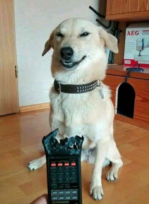 Klyker Picdump #1654 (44 photos)