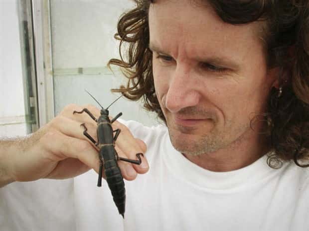 Oversized Insects That Look Scary AF (28 photos)