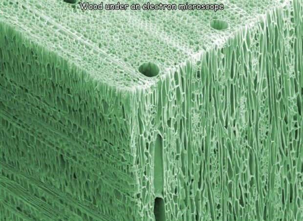 Interesting Pictures with Captions #141 (24 photos)