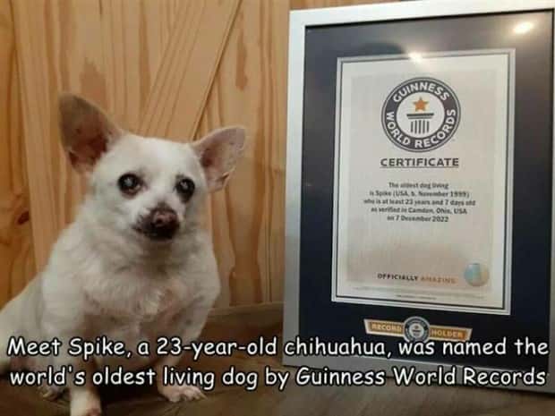 Interesting Pictures with Captions #143 (25 photos)