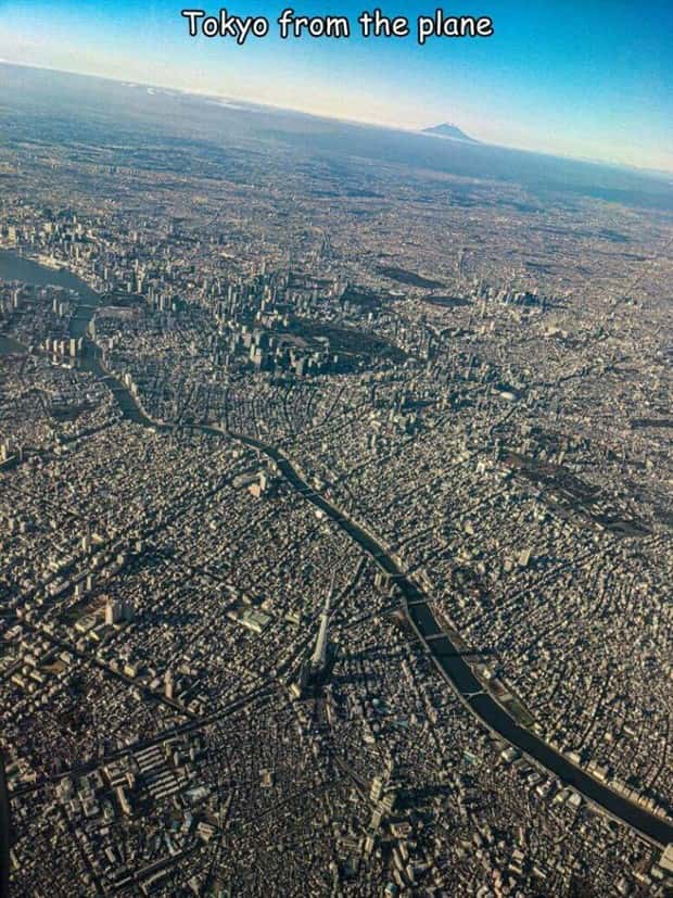 Interesting Pictures with Captions #141 (24 photos)