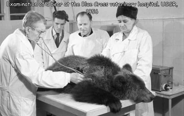 Interesting Pictures with Captions #143 (25 photos)