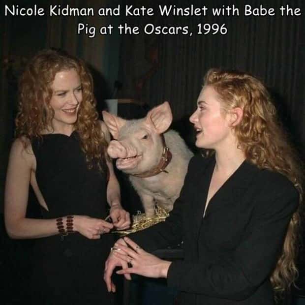 Interesting Pictures with Captions #143 (25 photos)