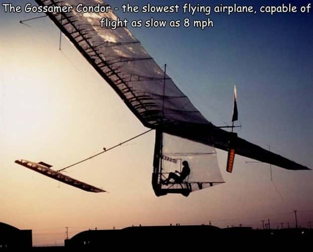 Interesting Pictures with Captions #143 (25 photos)