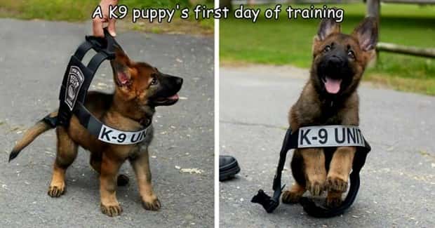 Interesting Pictures with Captions #143 (25 photos)