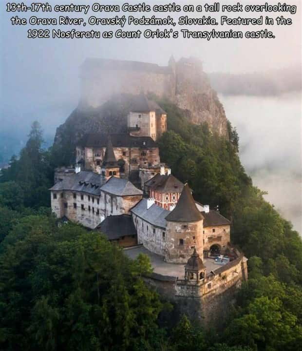 Interesting Pictures with Captions #141 (24 photos)