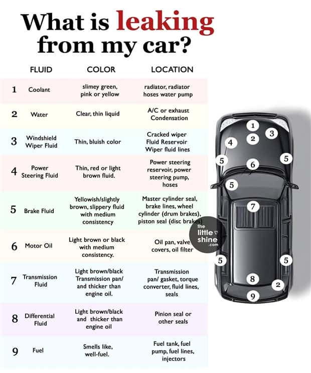 Charts and Maps with Intriguing Data #145 (19 photos)
