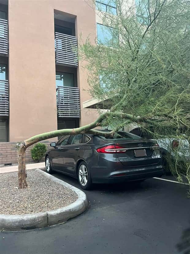 Shit Happens Regularly, Get Used To It #317 (25 photos)