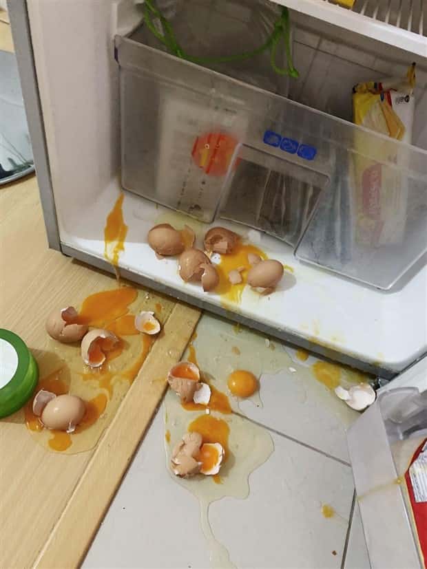 Shit Happens Regularly, Get Used To It #317 (25 photos)