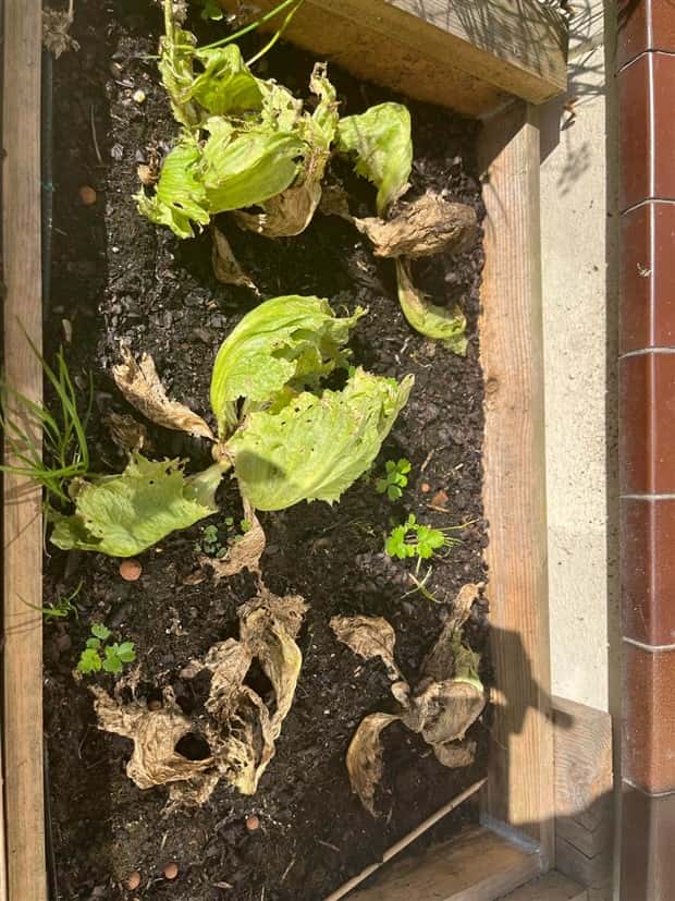 Shit Happens Regularly, Get Used To It #314 (23 photos)