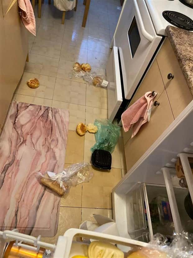 Shit Happens Regularly, Get Used To It #317 (25 photos)