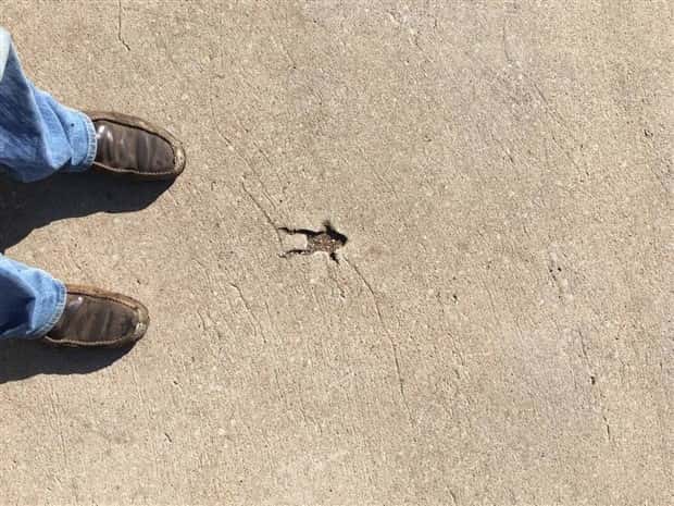 Shit Happens Regularly, Get Used To It #315 (27 photos)