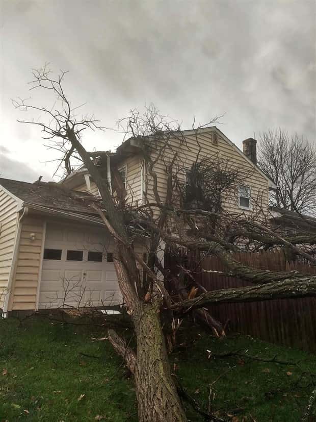 Shit Happens Regularly, Get Used To It #317 (25 photos)