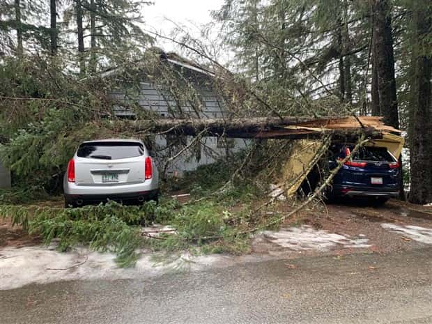 Shit Happens Regularly, Get Used To It #317 (25 photos)