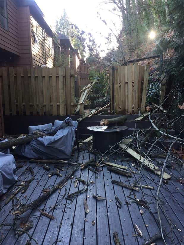 Shit Happens Regularly, Get Used To It #317 (25 photos)