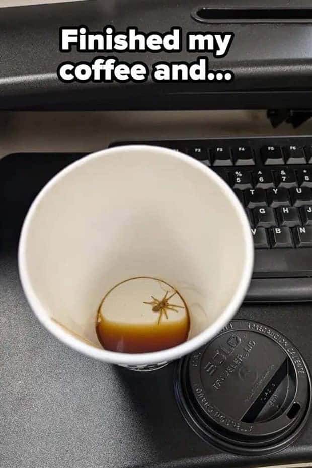 Shit Happens Regularly, Get Used To It #315 (27 photos)