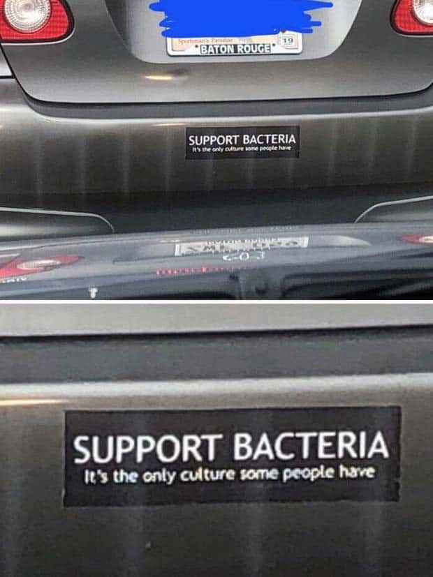 Wild Bumper Stickers That’ll Crack You Up (24 photos)