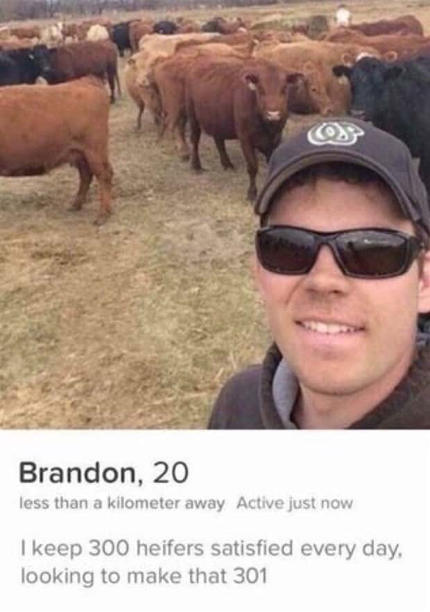 Wild Dating Profiles That Scream Red Flags (25 photos)