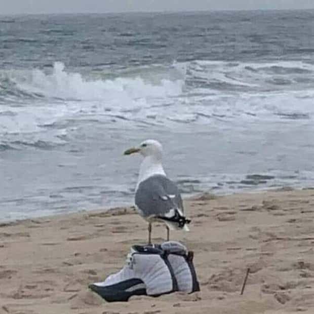 24 More WTF Photos, Because Why Not!?