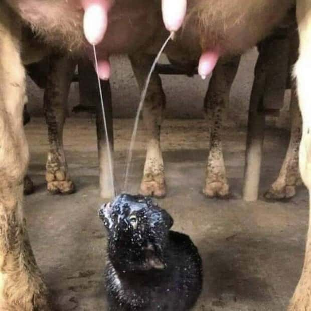 24 More WTF Photos, Because Why Not!?