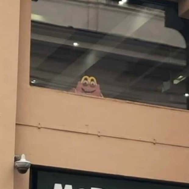 24 More WTF Photos, Because Why Not!?