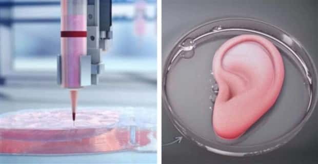 3D Printed Human Body Parts Are Reality (26 photos)