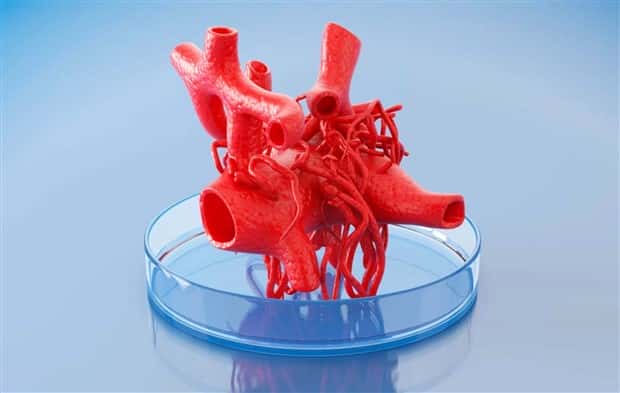 3D Printed Human Body Parts Are Reality (26 photos)