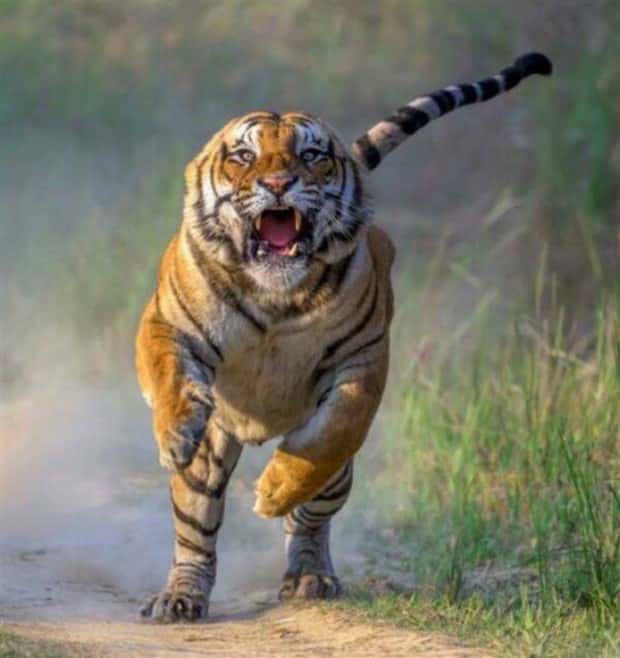 Awesome Pictures You Shouldn’t Miss #142 (25 photos)