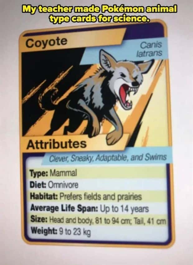 creative teachers 3 Creative Teachers Who Make Learning Fun (23 photos)