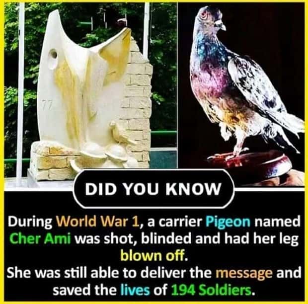 Cool and Interesting Facts #419 (25 photos)